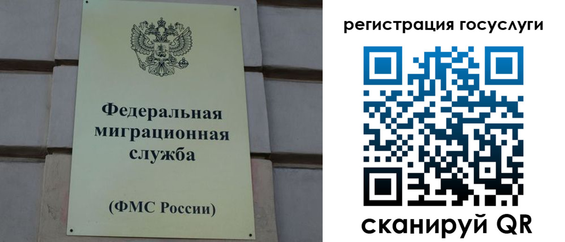 временная регистрация поиск в Сосенском